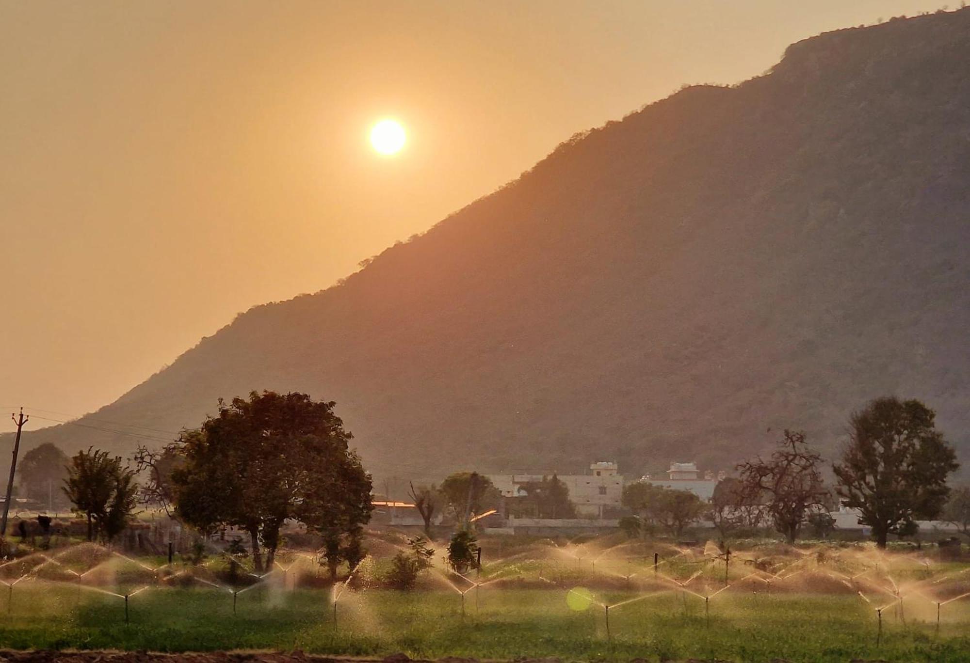 Hotel Divine Palace Pushkar Eksteriør bilde